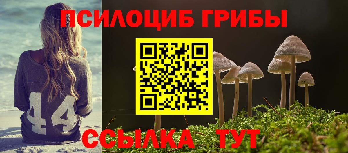 Псилоцибиновые грибы Psilocybine cubensis Свободный
