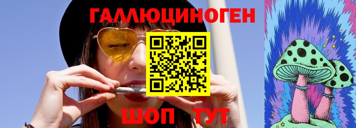 Свободный  Псилоцибиновые грибы мухоморы  Вход с VPN  Галлюциногенные грибы мухоморы 